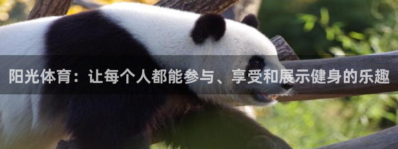k1体育平台最新网站下载：阳光体育：让每个人都能参与、享受和展示健身的乐趣