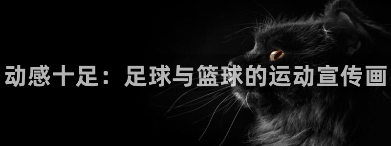 k1体育下载链接：动感十足：足球与篮球的运动宣传画