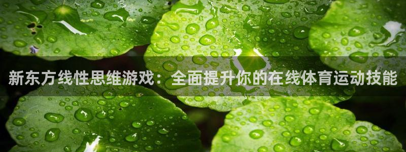 k1体育平台3915：新东方线性思维游戏：全面提升你的在线体育运动技能