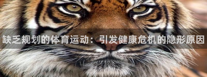 k1体育下载链接：缺乏规划的体育运动：引发健康危机的隐形原因