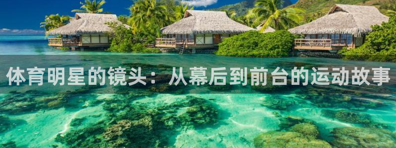 k1体育十年平台：体育明星的镜头：从幕后到前台的运动故事