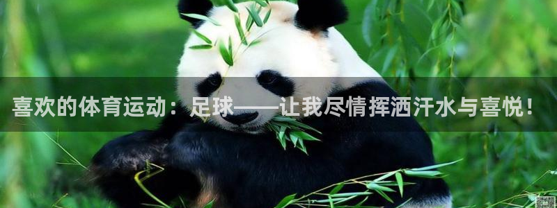 k1体育平台最新网站下载：喜欢的体育运动：足球——让我尽情挥洒汗水与喜悦！
