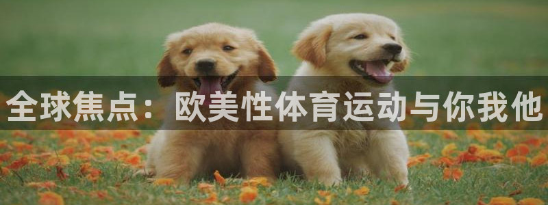 k1体育平台下载：全球焦点：欧美性体育运动与你我他