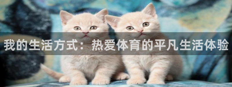 k1体育平台下载：我的生活方式：热爱体育的平凡生活体验