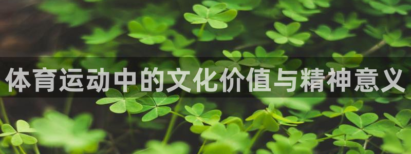 k1体育链接：体育运动中的文化价值与精神意义