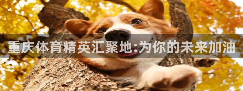 k1体育下载链接：重庆体育精英汇聚地:为你的未来加油