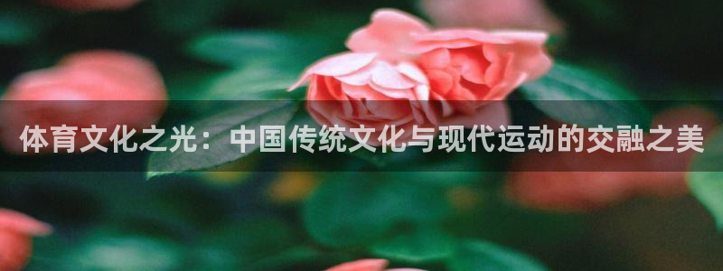 k1体育平台3915：体育文化之光：中国传统文化与现代运动的交融之美