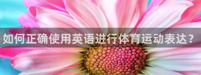k1体育链接多少：如何正确使用英语进行体育运动表达？