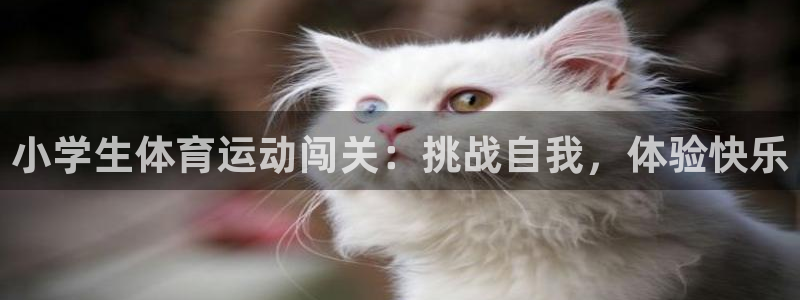k1体育棋牌：小学生体育运动闯关：挑战自我，体验快乐