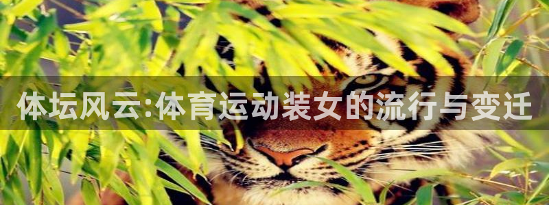 k1体育下载链接：体坛风云:体育运动装女的流行与变迁