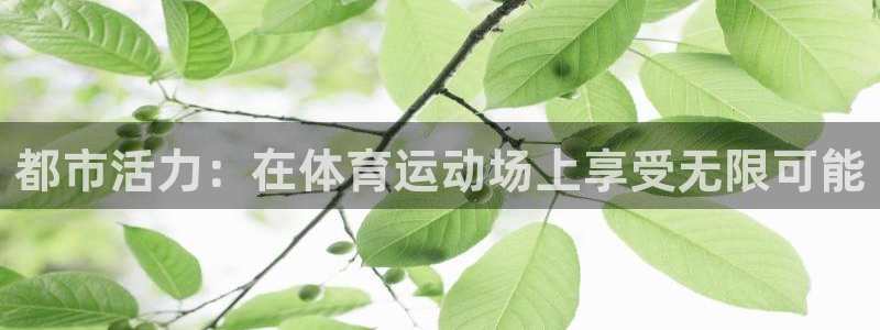 k1体育平台3915：都市活力：在体育运动场上享受无限可能