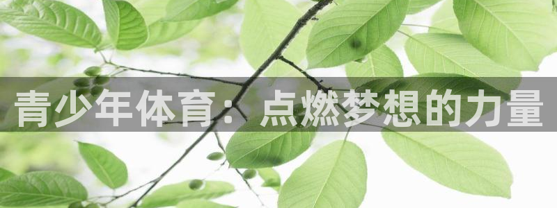 k1体育下载链接：青少年体育：点燃梦想的力量