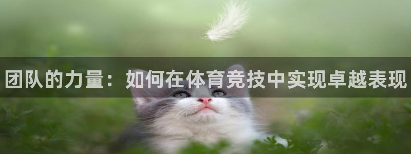 k1体育app官网登录入口：团队的力量：如何在体育竞技中实现卓越表现