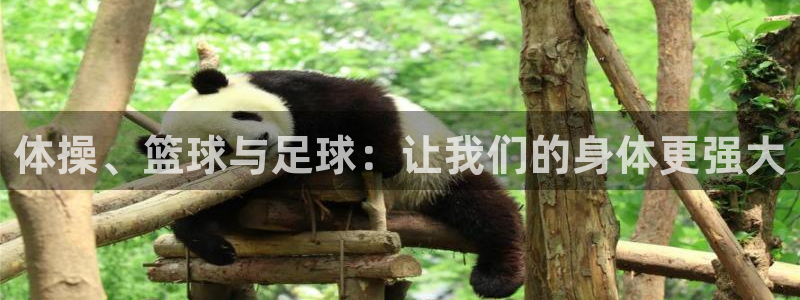 k1体育入口：体操、篮球与足球：让我们的身体更强大