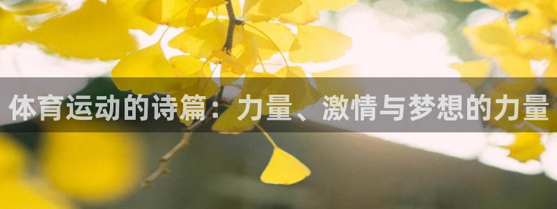 k1体育网址：体育运动的诗篇：力量、激情与梦想的力量
