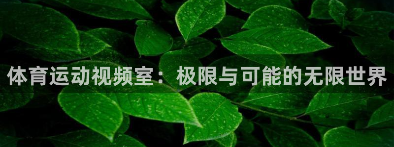 帮k1体育在线登录：体育运动视频室：极限与可能的无限世界