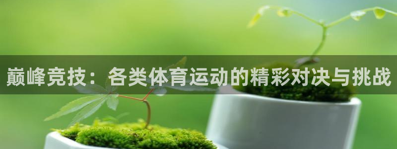 k1体育棋牌：巅峰竞技：各类体育运动的精彩对决与挑战