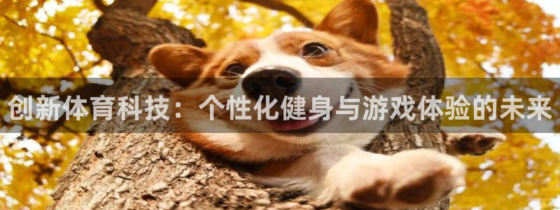 k1体育下载链接：创新体育科技：个性化健身与游戏体验的未来